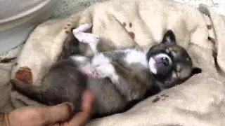 The sweet spot