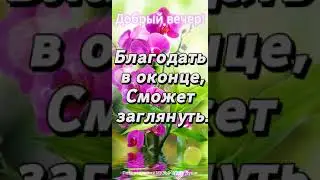 Хорошего вечера! Приятного отдыха! Счастья! Have a nice evening! Happiness! #shorts