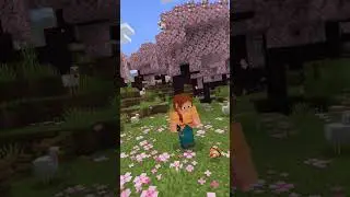 #subscribe