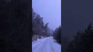 Ашильтинский лес