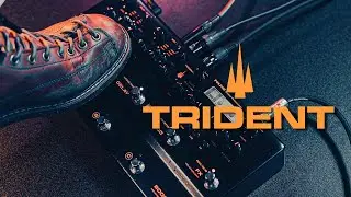 BRAND NEW | NUX Trident Pedal Introduction