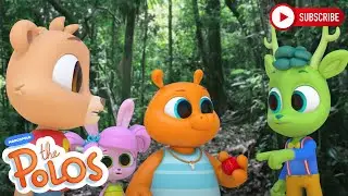 Finding something cool | The Polos | Adventure Learning | Learn At Home