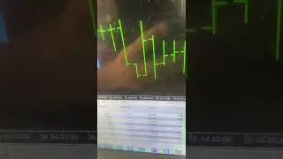 Profitable trading robot | Trading Gold +67% in 1 month #currencytrading