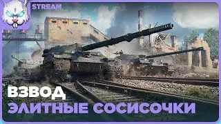 Взвод с Элитным VIP-ом [tyred]