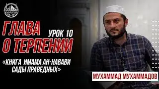Книга  имама ан-Навави 