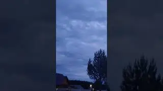 10 июня 2024 г.