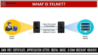 What is TELNET? | CCNA Tools, Concepts, and Fundamentals | Covering all Key Topics of CCNA 200-301 |