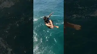 GREAT WHITE SHARK 😱
