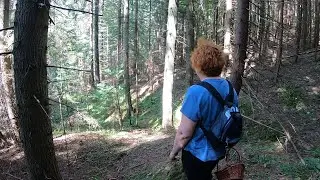 Mushroom picking on the pass!..New MUSHROOM PLACES, new sensations!