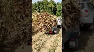 La coceni cu Duster-ul 💪🙂