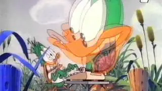 Przygody Animków dubbing polish intro PL