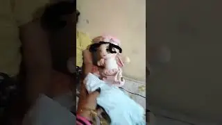 amayra yaa tumare lia || cutie nokjhok ||