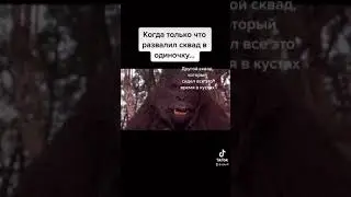 Ну почему так?