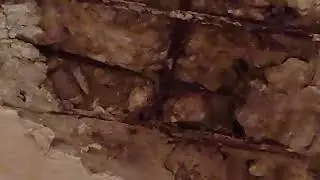 КОСТЮЖЕНЫ А НЕ ЖИЛОЙ ДОМ.