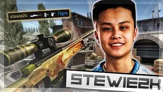 CS:GO - stewie2k | Stream Highlights #4