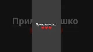 8 мая 2024 г.