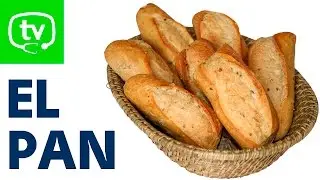 ¿Es malo comer pan cada día?