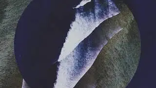 Mild Minds - VIEWS (Visualizer)