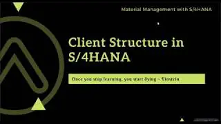 Client Structure in the SAP System