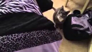 Good morning playtime
