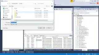 Creating sql queries from within Visual Studio