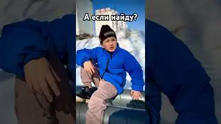 Скамик. 