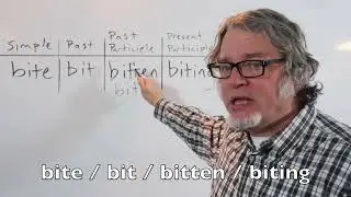 bite