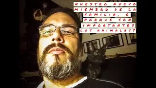 Nuestro nuevo miembro de la familia . . . o porque son importantes los animales?