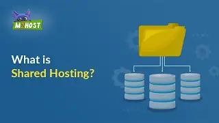 What is shared hosting?