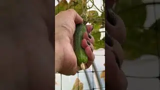 Бажаєш красу- ВСЕ  в твоїх руках!