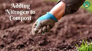 How to Add Nitrogen to Compost? How to Increase Nitrogen in Compost? Adding Nitrogen to Compost