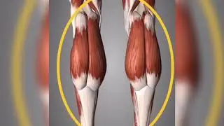 Calves release for Runners