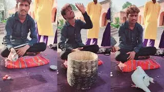 Jadugar ne banaye 1 kabutar ke 2 kabutar in najafgard Kila Amritsar