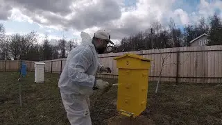 Деревня Соснино (покраска, пасечный журнал, генемановская решетка)