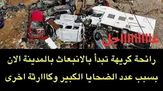 عاجل : الروائح الكريهة بدأت تنبعت بعد الاعصار و كااارثة أخرى تنتظر أهل المدينة