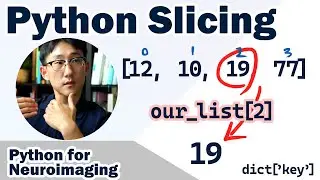 Slicing in Python | Neuroimaging Python for Beginners part 3