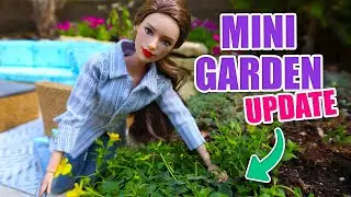 Updating our DIY Outdoor Barbie Garden - Fairy Garden - Barbie patio Garden