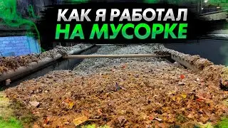 Работа на мусоровозе по Польше. Как, зачем и сколько платят.