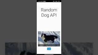 Python KivyMD Dog APIKey Use In App