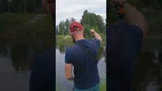 Рыбалка. Рыбалка на спинниннг. Рыбалка на ультралайт. #спиннинг #рыбалка2023 #dayo