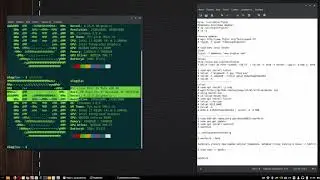 Neofetch - информация о системе Linux и логотип в терминале