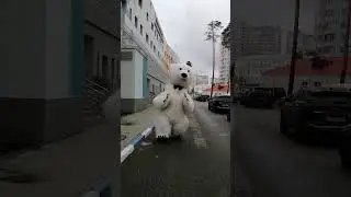 Поздравление от Мишки. Большой белый медведь. Ростовая кукла. 