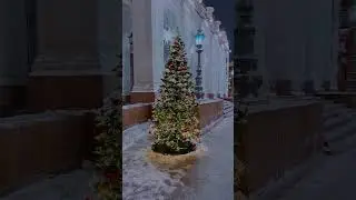Скоро в Питере!❄️😍 #питер #санктпетербург #нева #этопитердетка #новыйгод