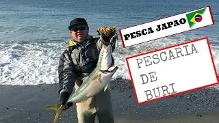 PESCA NA PRAIA SERGIO MATADOR  DE BURI(OLHETE)