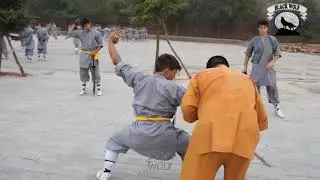 Шаолиньское КУНГ ФУ в РЕАЛЬНОСТИ   Демонстрация стиля