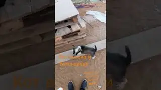 Васька и Бетонщица