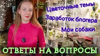 Ответы на вопросы подписчиков