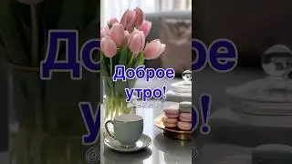 Доброе 🌞утро 