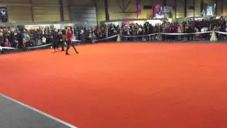 GSD