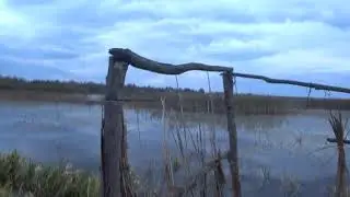 ОДИН ВЫСТРЕЛ-ОДИН ТРОФЕЙ. Разведка перед большой охотой на утку.
